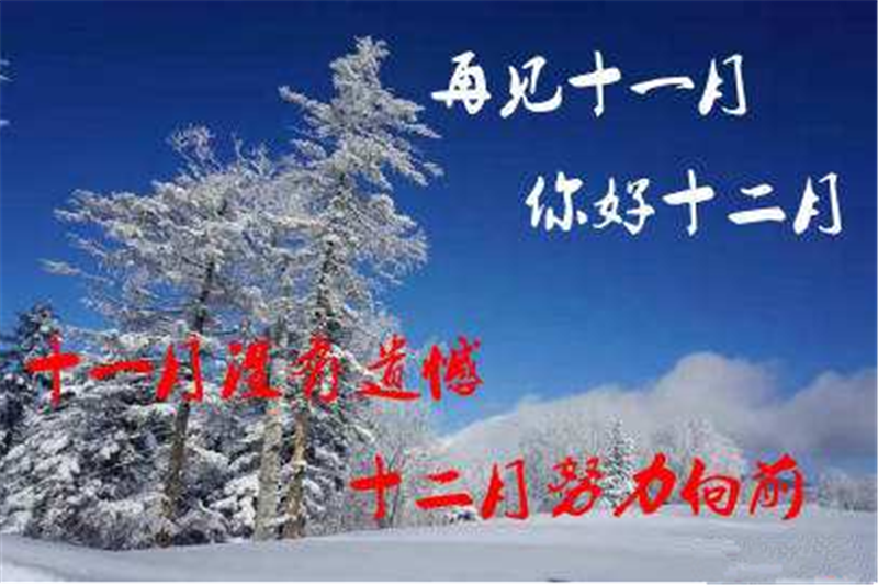 11月再見 ，12月你好——貝朗全自動鋼絲機(jī)