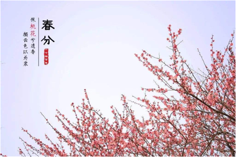 春分——轉(zhuǎn)載網(wǎng)絡(luò)圖片